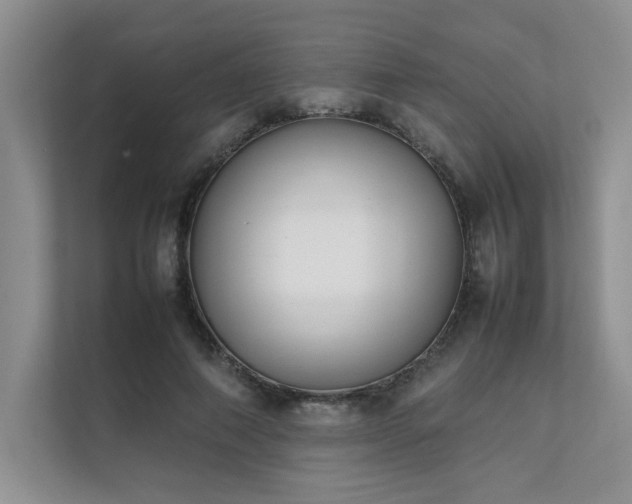 X0000111630690200907171527