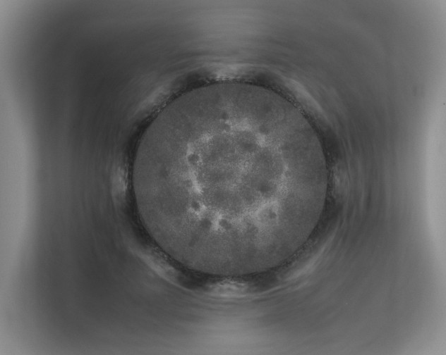 X0000111630691200907171527