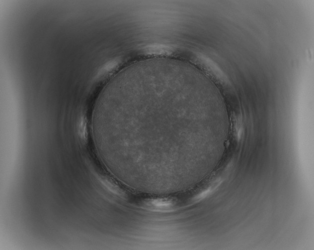 X0000111630692200907171527