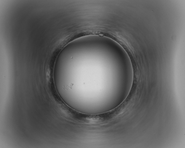 X0000111630693200907171527