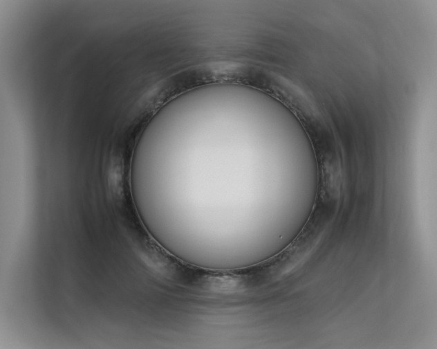 X0000111630698200907171527