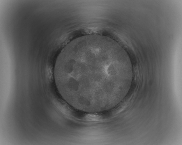 X0000111630699200907171527