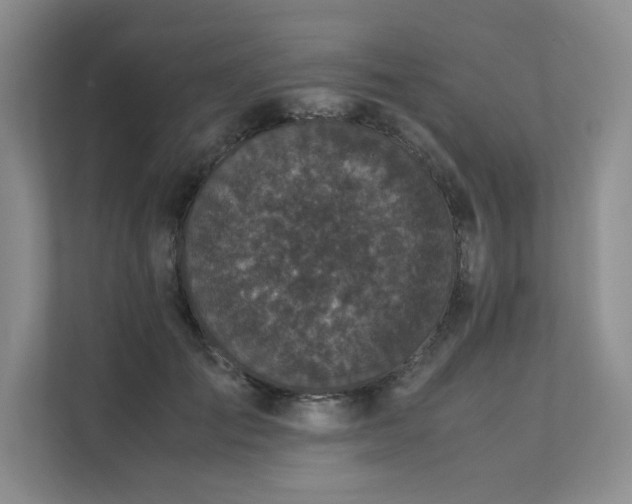 X0000111630701200907171527