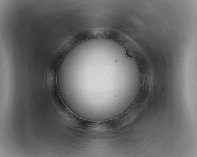 X0000111630702200907171527