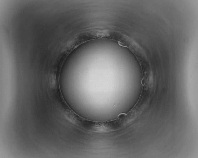 X0000111630704200907171527