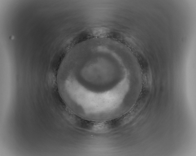 X0000111630705200907171527