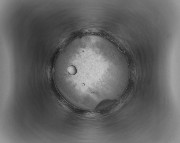 X0000111630708200907171527