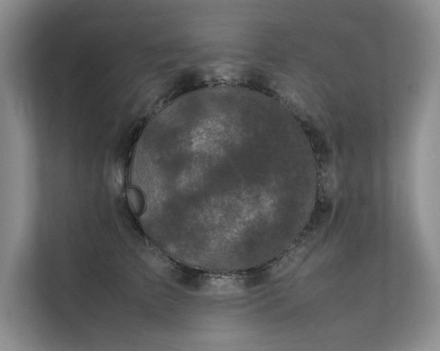 X0000111630709200907171527