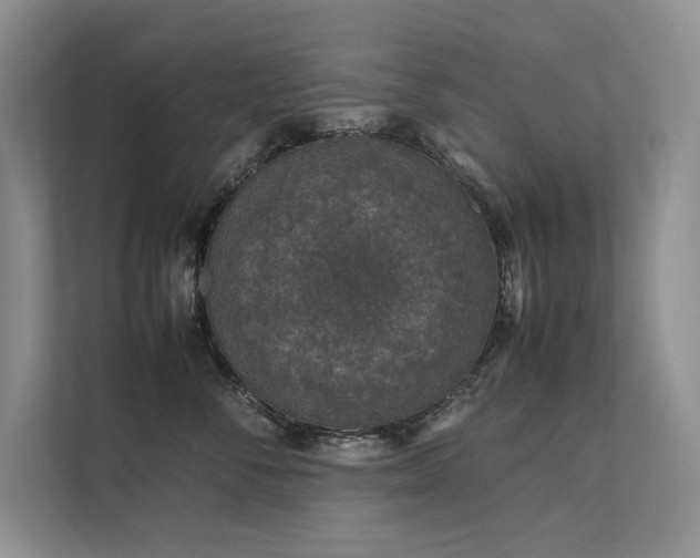 X0000111630716200907171527