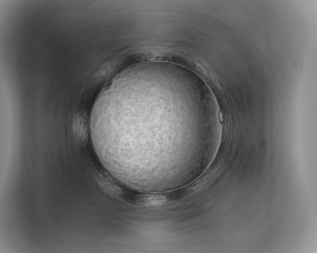 X0000111630719200907171526