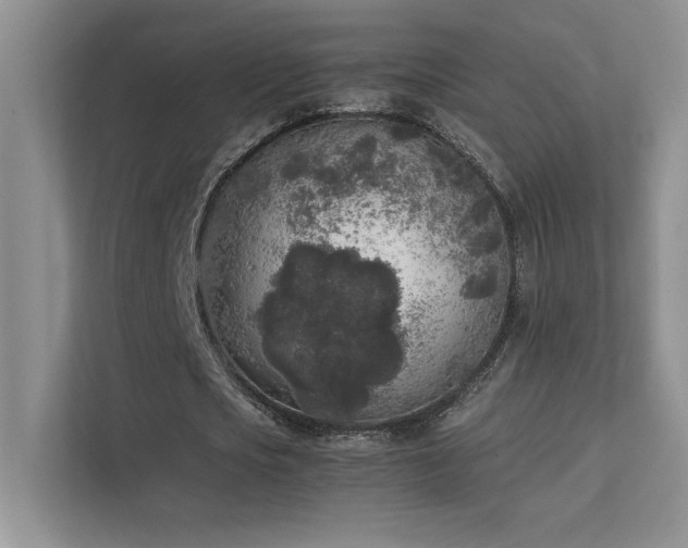 X0000111630721200907171526