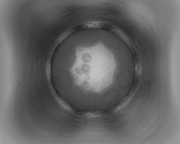 X0000111630725200907171526
