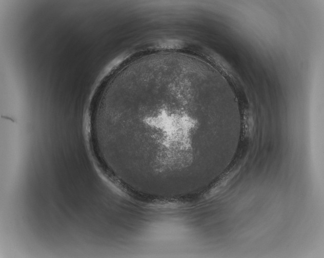 X0000111630726200907171526