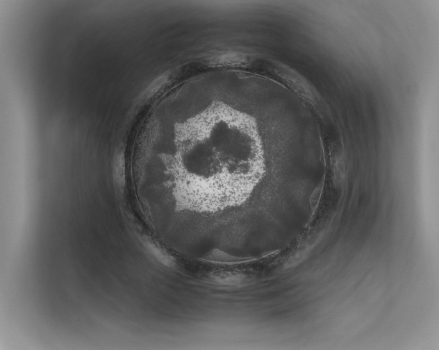 X0000111630729200907171526