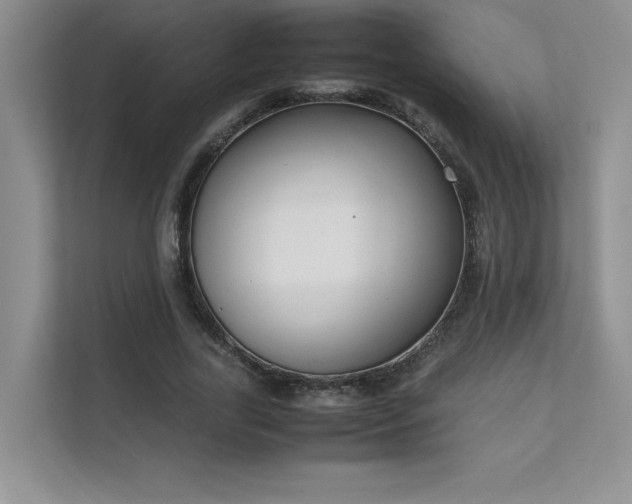X0000111630731200907171526