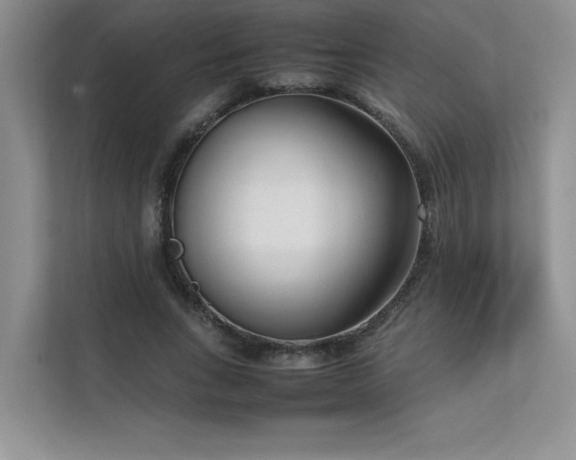 X0000111630735200907171526