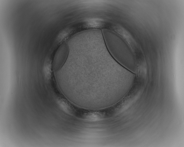 X0000111630736200907171526