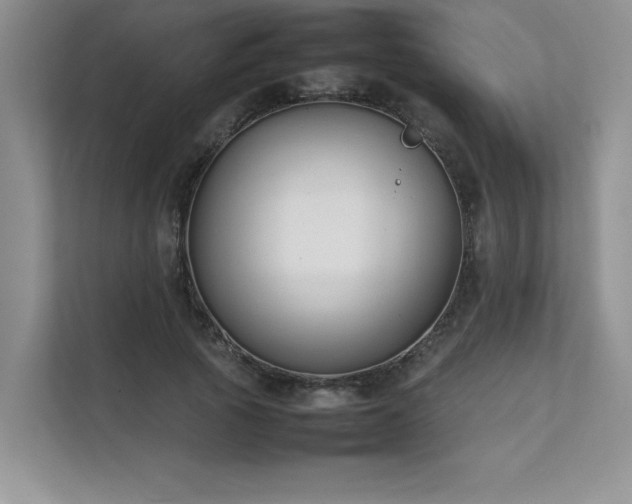 X0000111630737200907171526