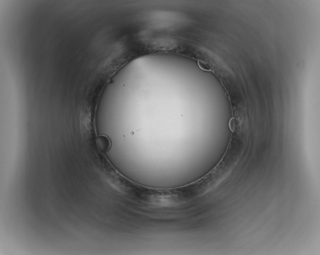 X0000111630745200907171526