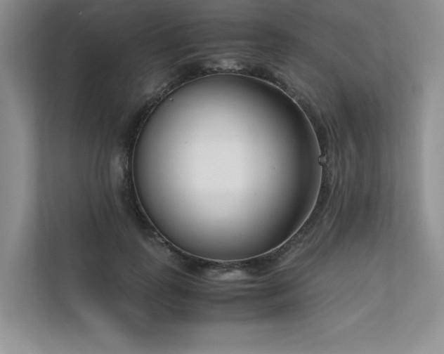 X0000111630747200907171526
