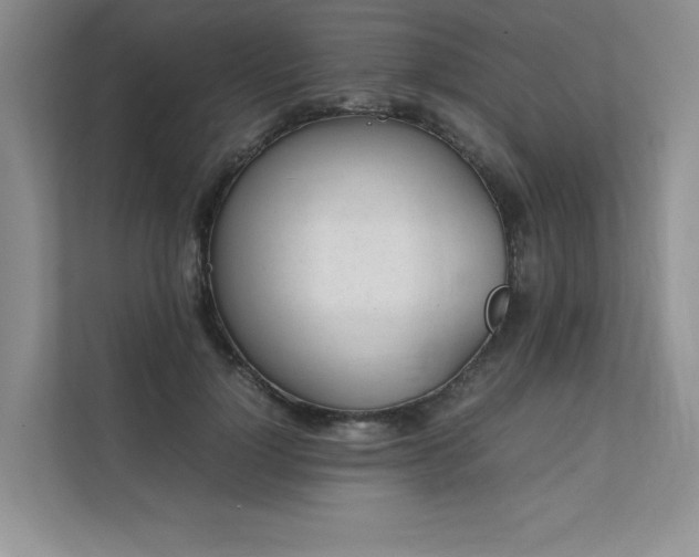 X0000111630748200907171526