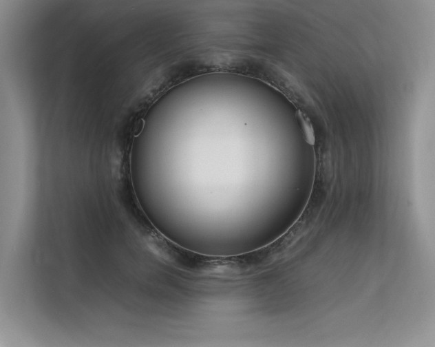X0000111630750200907171526