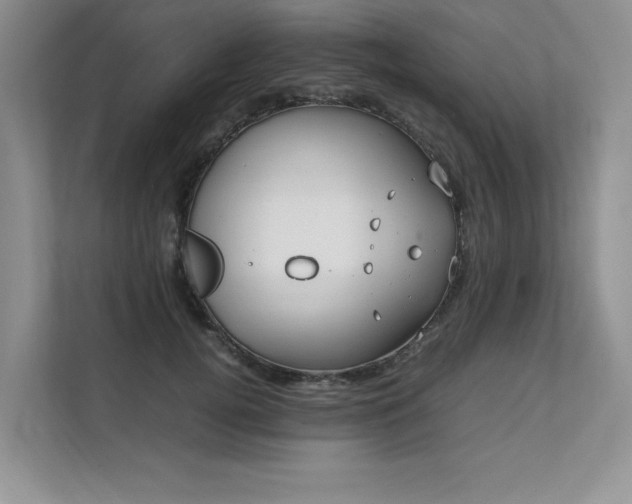 X0000111630752200907171526