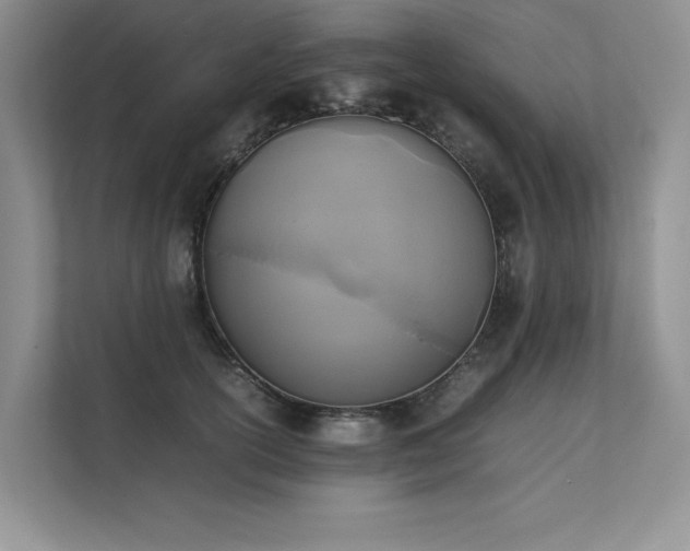 X0000111630754200907171526