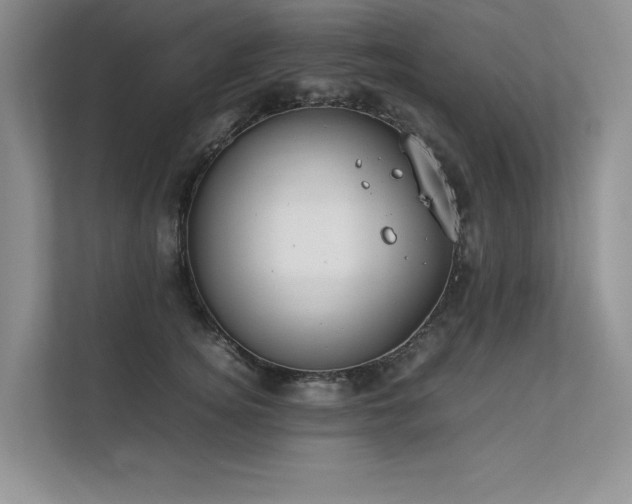 X0000111630756200907171526