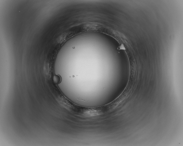 X0000111630759200907171526