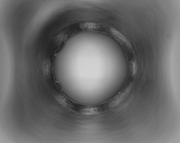 X0000111630760200907171526