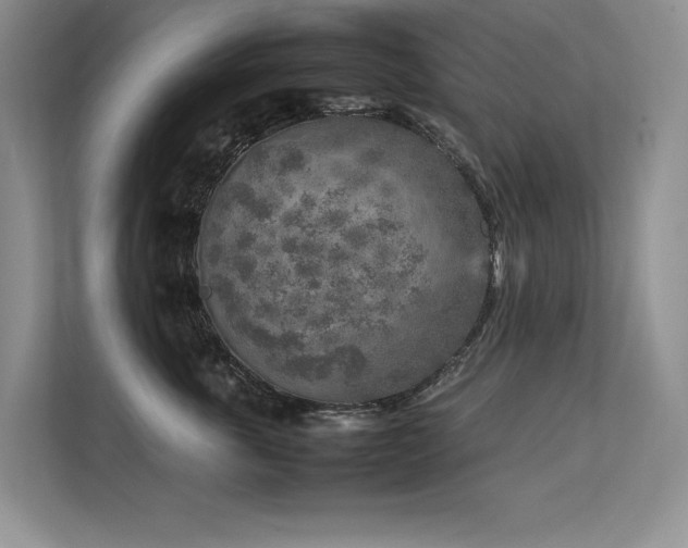 X0000111630763200907171526