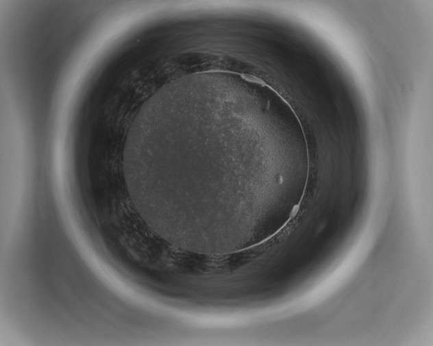 X0000111630766200907171526