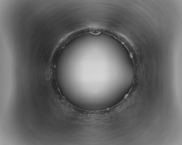 X0000111630776200907171526