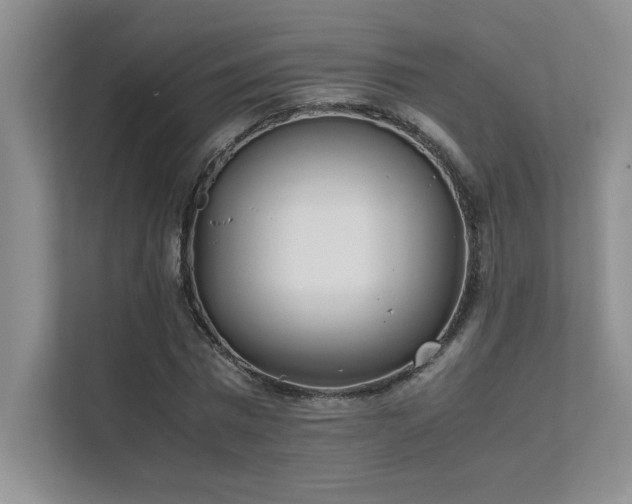 X0000111630777200907171526