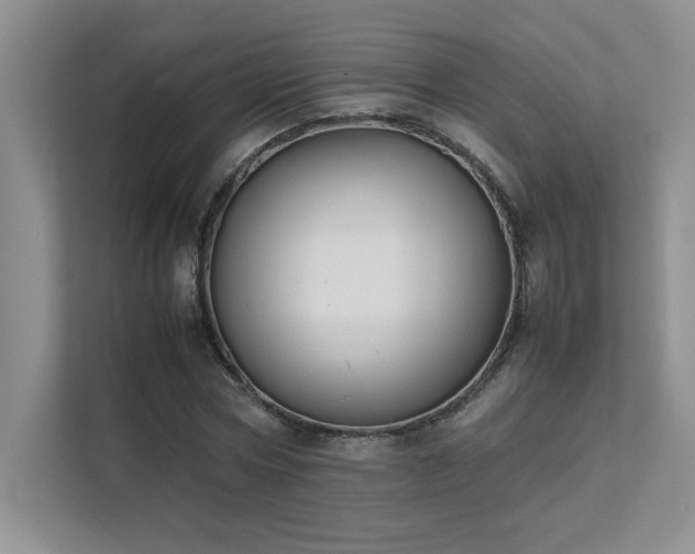 X0000111630778200907171526