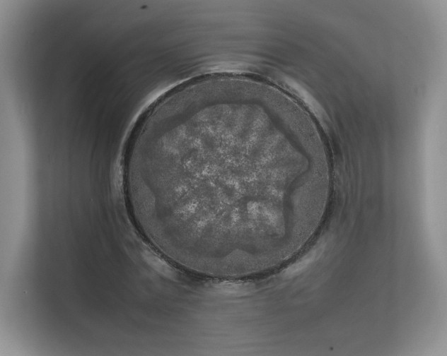 X0000111630779200907171526