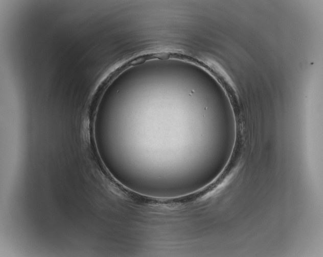X0000111630781200907171526