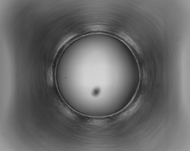 X0000111630782200907171526