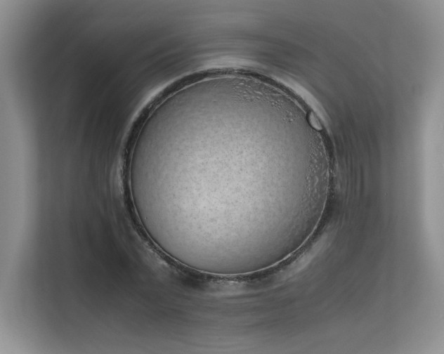 X0000111630783200907171526