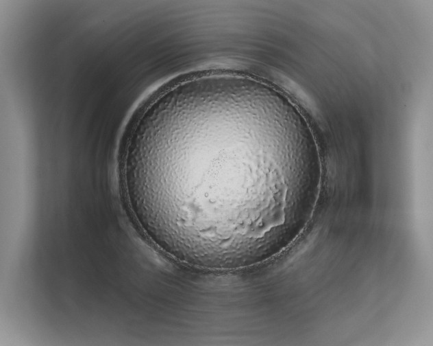 X0000111630784200907171526