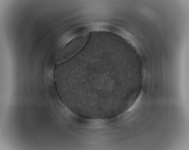 X0000111630785200907171526