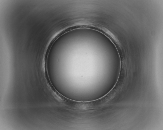 X0000111630791200907171526
