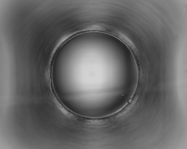 X0000111630800200907171525