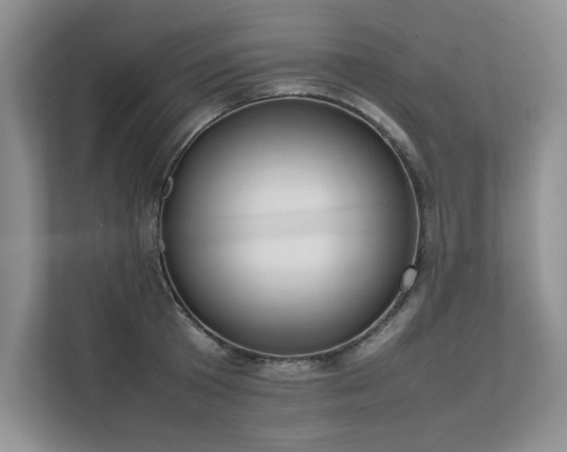 X0000111630801200907171525