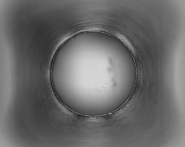 X0000111630805200907171525