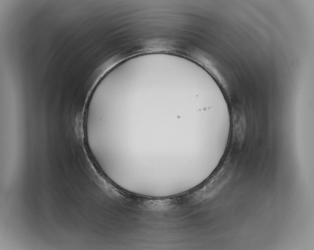 X0000111630810200907171525