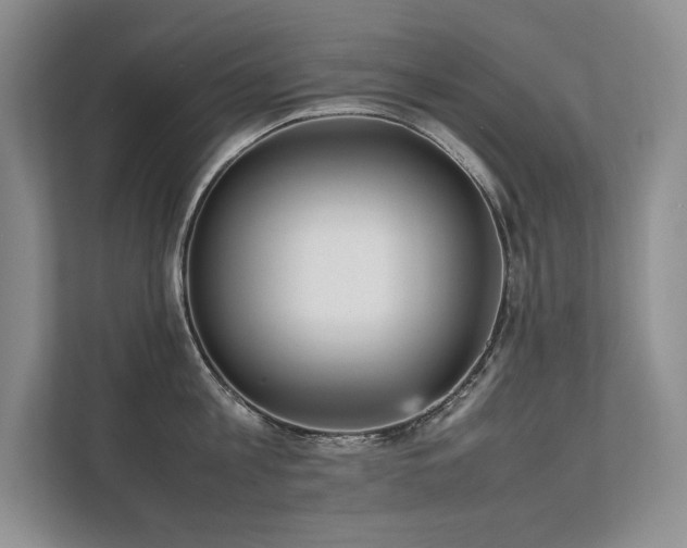X0000111630813200907171525