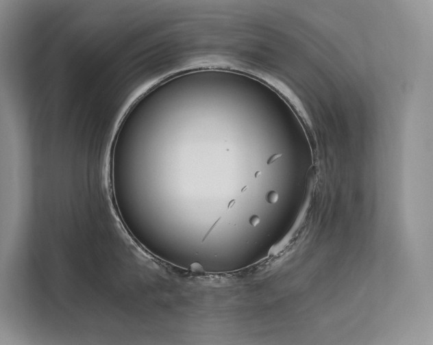 X0000111630815200907171525