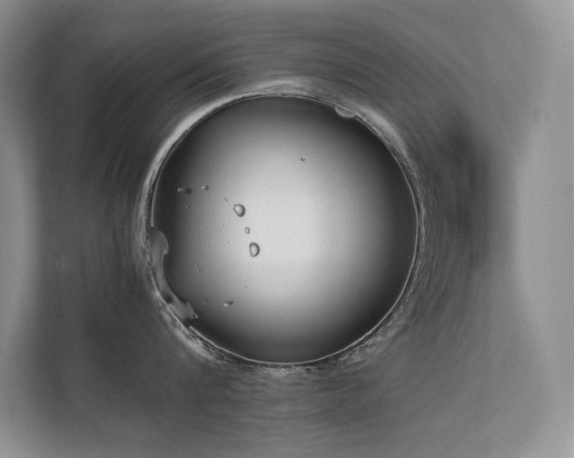 X0000111630816200907171525